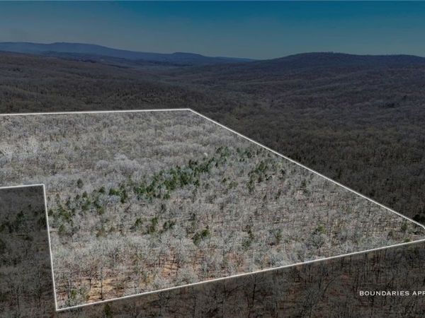 TBD E 980 Road, Sallisaw, OK 74955