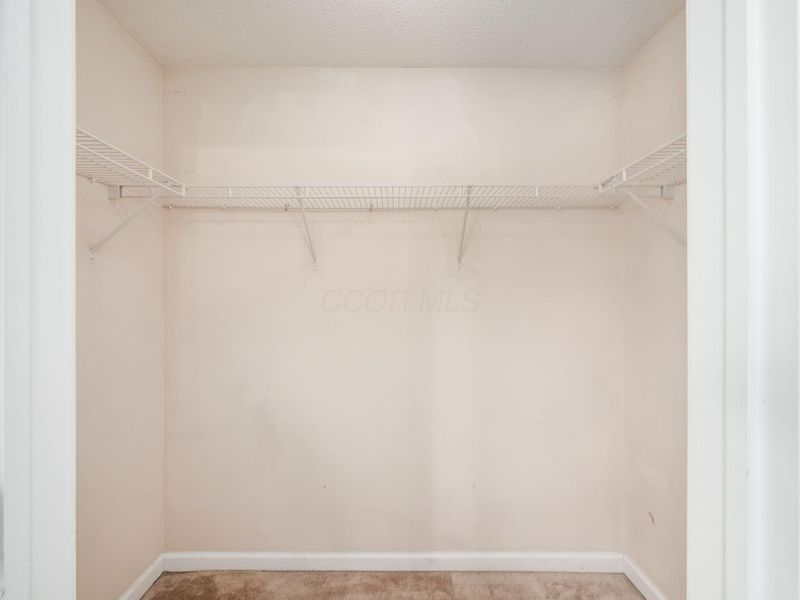 705 Hidden Springs Drive, Lewis Center, OH 43035 Photo 12