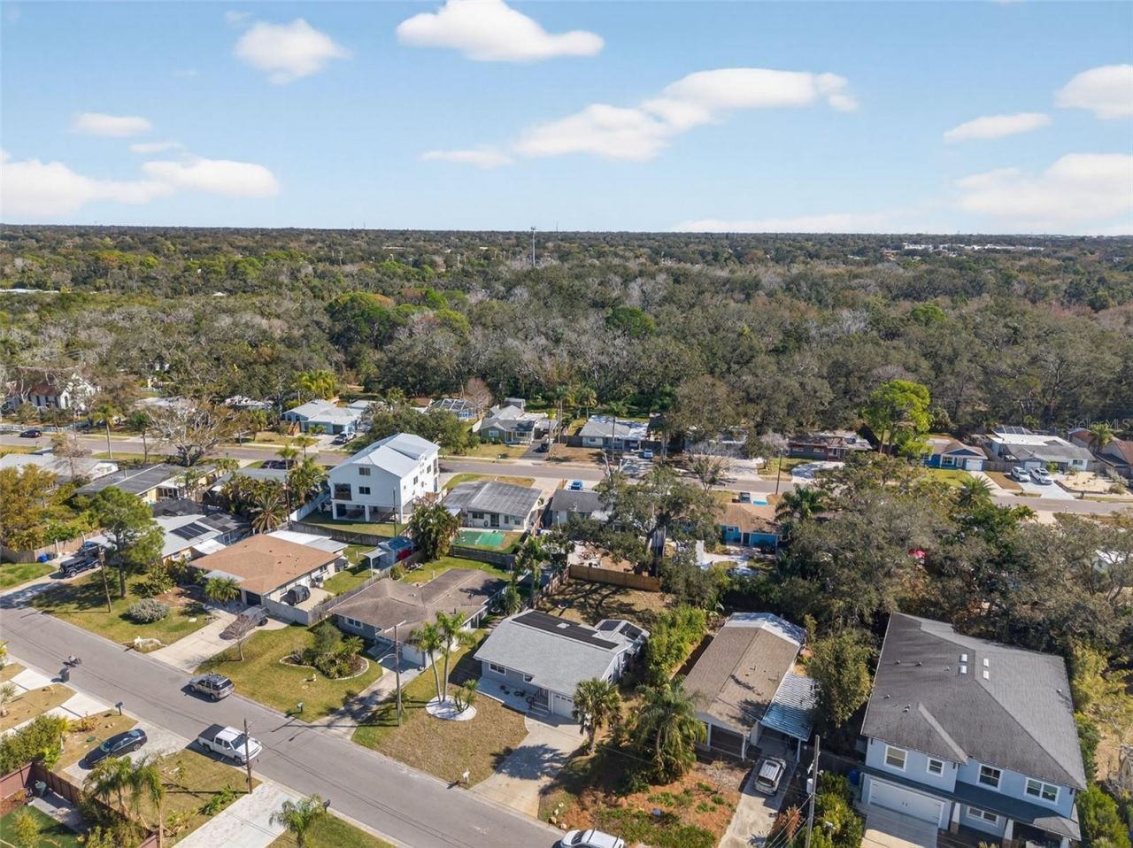 1841 Douglas Avenue, Dunedin, FL 34698 Photo