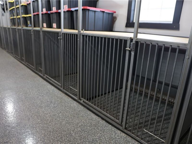 8335 Township Road 457, Loudonville, OH 44842 Photo 11