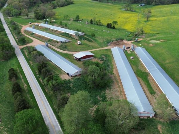 8111 Highway 103, Green Forest, AR 72638