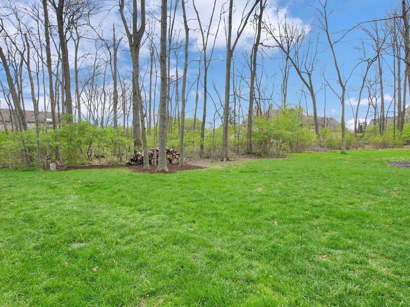 80 Timberknoll Loop, Powell, OH 43065 Photo 40