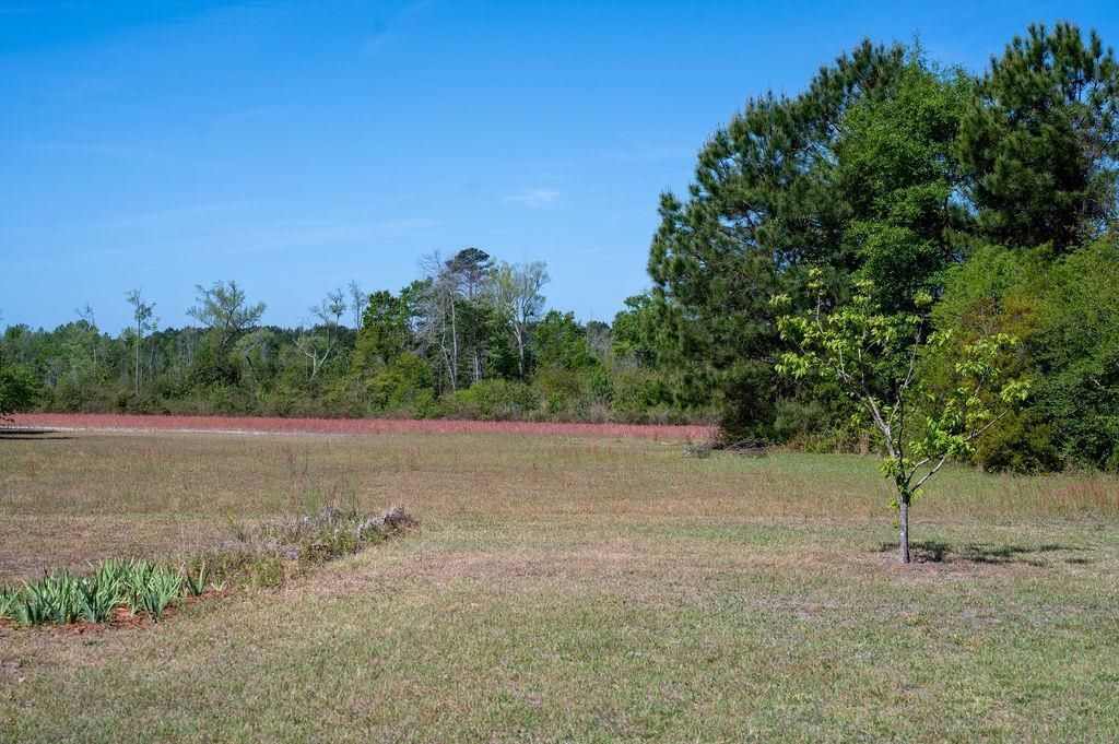 2007 Venus Ct. Photo 6