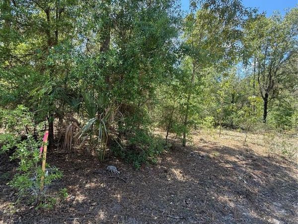 NE 118TH LANE , BRONSON, FL 32621