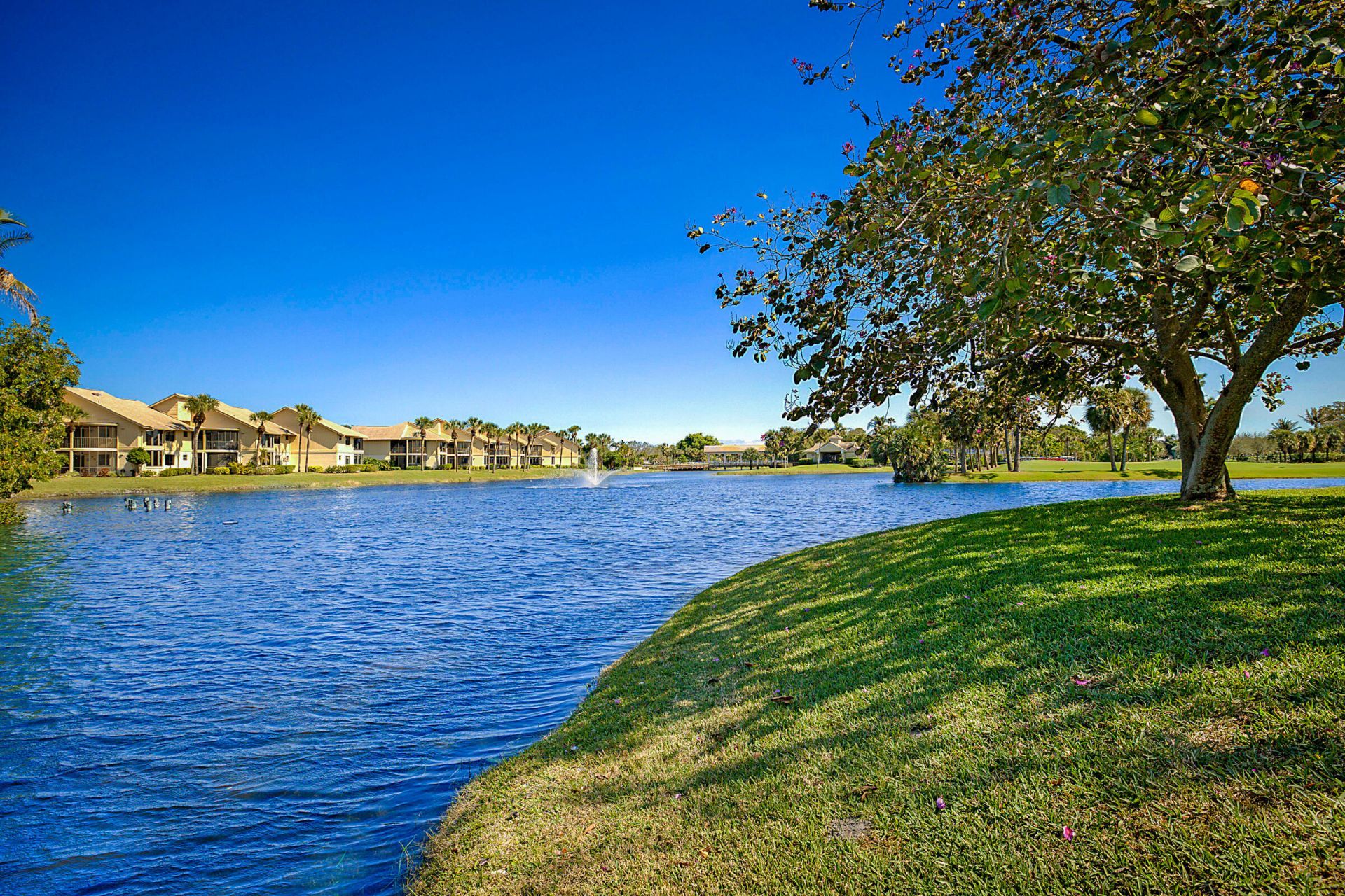 3881 Back Bay Drive, Unit 118, Jupiter, FL 33477 Photo