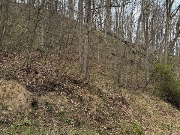 0 Coal Bank Hollow Rd , Ford City, PA 16226