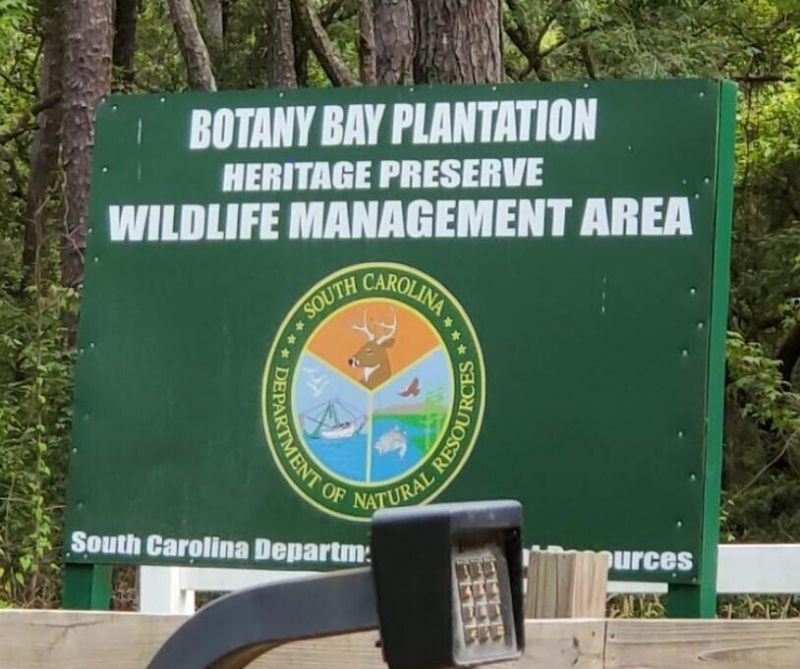 1068 Sarah Battle Lane Photo 5