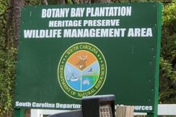 1068 Sarah Battle Lane photo 4