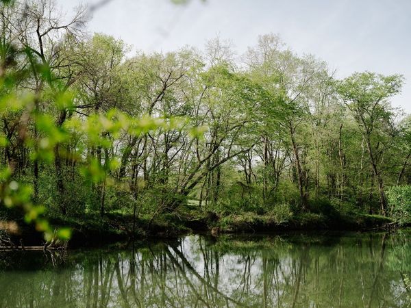 846 R Wilkerson Dr , Centerville, TN 37033