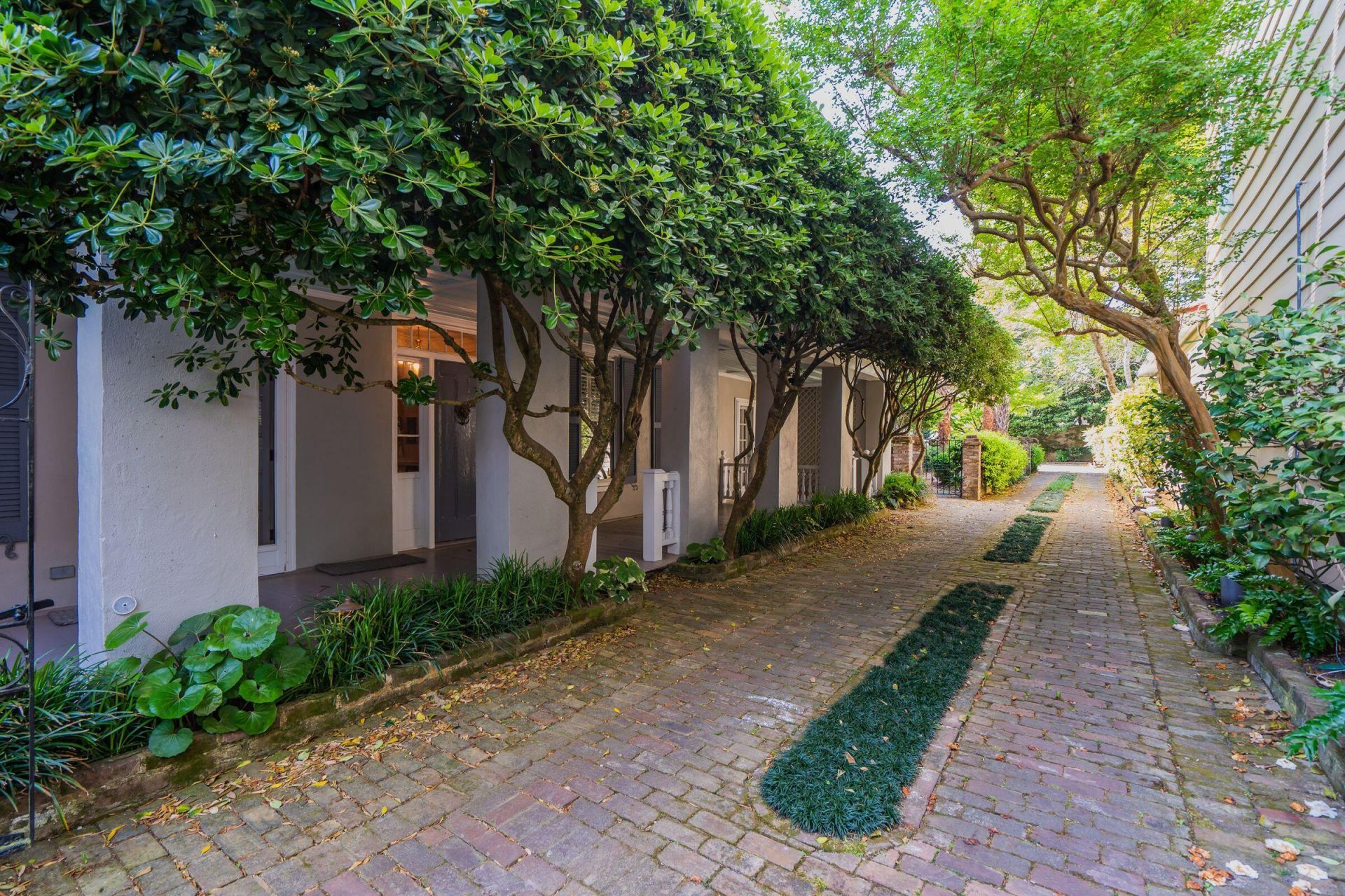 3 Lamboll Street Photo 7