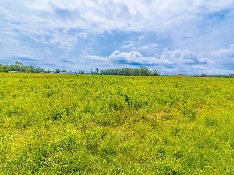 5 Dorsey Road, Winchester, OH 45697 Photo 6