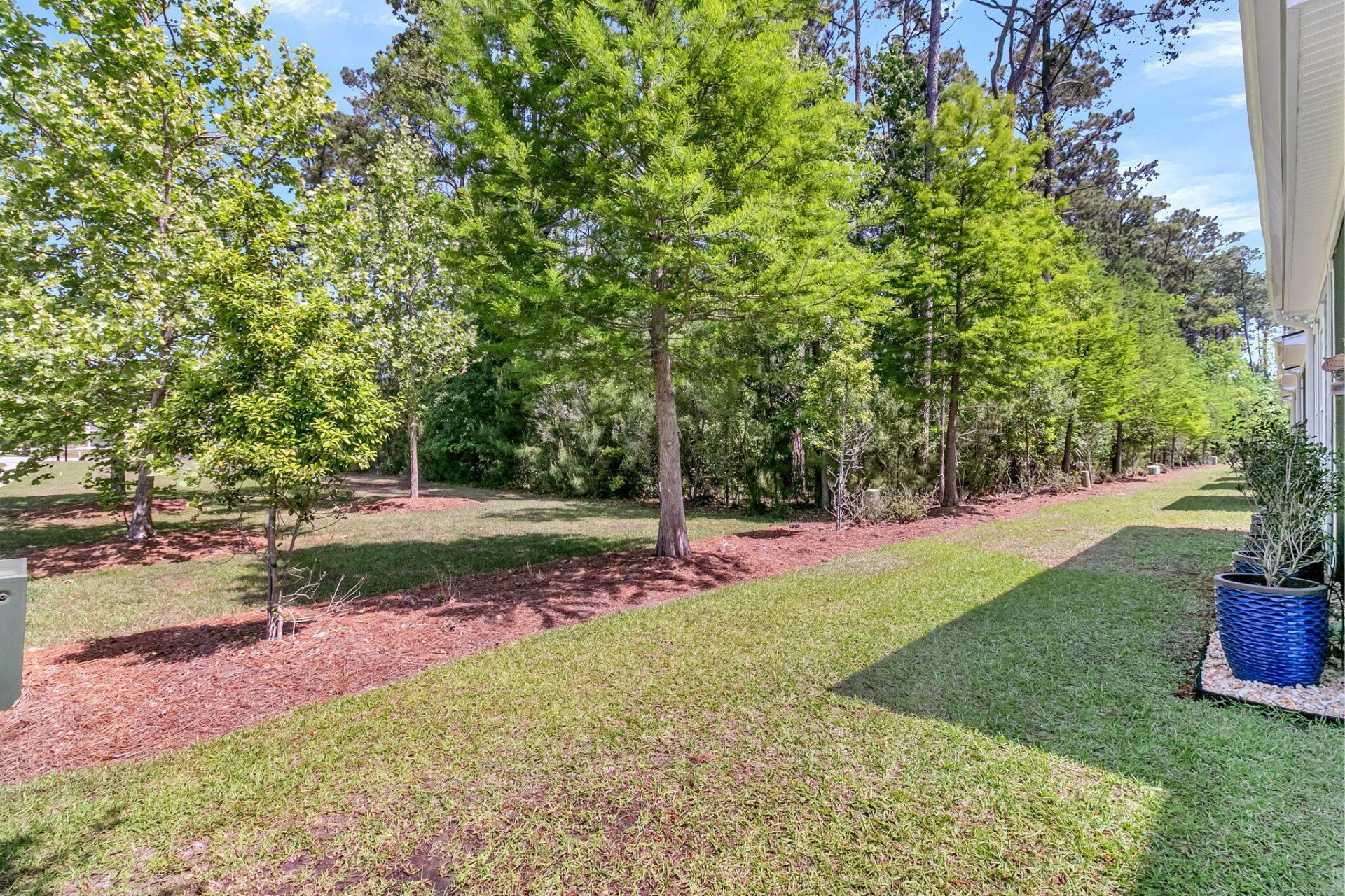 2422 Brackish Drive Photo 41