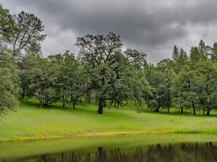 19351 Fiddletown Rd, Fiddletown, CA 95629 Photo