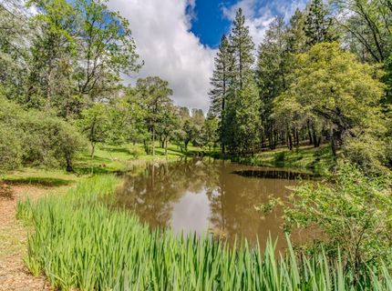 19351 Fiddletown Rd, Fiddletown, CA 95629 Photo