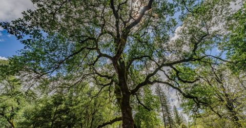 19351 Fiddletown Rd, Fiddletown, CA 95629 Photo