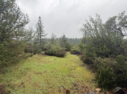 485 Manzanita Trl, Georgetown, CA 95634 Photo