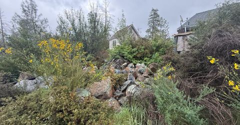 485 Manzanita Trl, Georgetown, CA 95634 Photo