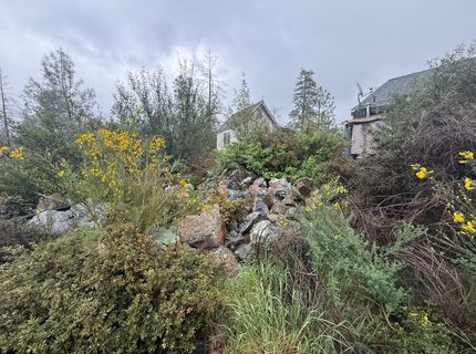 485 Manzanita Trl, Georgetown, CA 95634 Photo