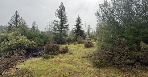 485 Manzanita Trl, Georgetown, CA 95634 Photo