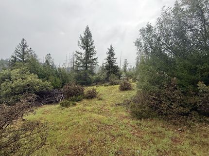 485 Manzanita Trl, Georgetown, CA 95634 Photo