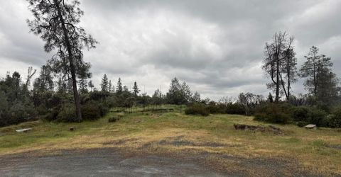 485 Manzanita Trl, Georgetown, CA 95634 Photo