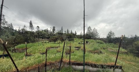 485 Manzanita Trl, Georgetown, CA 95634 Photo