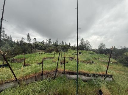 485 Manzanita Trl, Georgetown, CA 95634 Photo