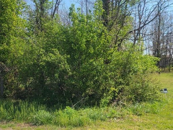 Lot 50 St. Anns Lane, Waverly, OH 45690