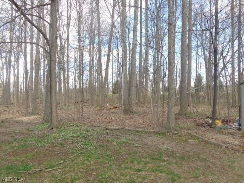 15852 Inglewood Court, Strongsville, OH 44136 Photo 5