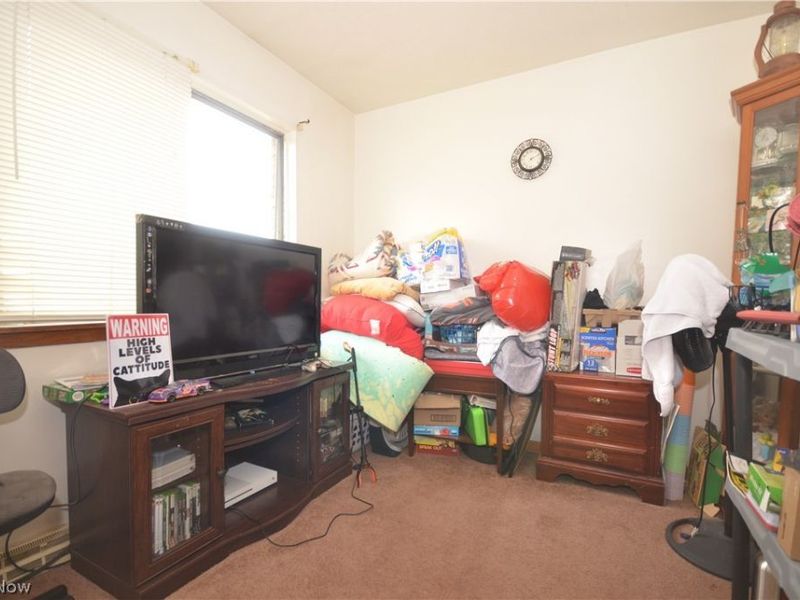 280 Cluster Avenue, Akron, OH 44305 Photo 22