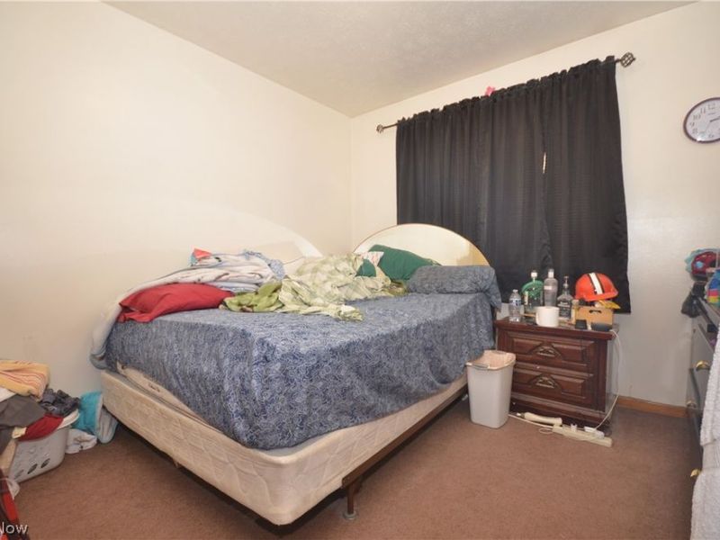 280 Cluster Avenue, Akron, OH 44305 Photo 23