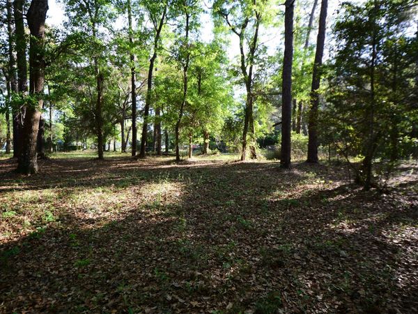 Parcel 6 PEEPLES Road, Yulee, FL 32097