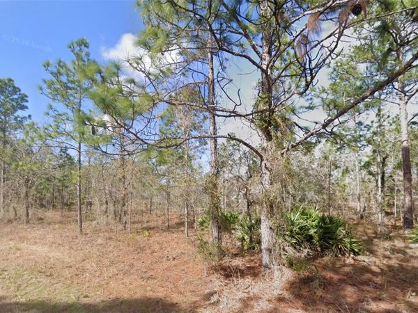 13351 SCHICK AVENUE , BROOKSVILLE, FL 34614