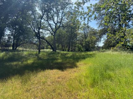 11370 Chanterelle Ln, Smartville, CA 95977 Photo