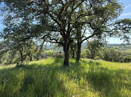 11370 Chanterelle Ln, Smartville, CA 95977 Photo