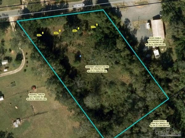 275 Molino Rd, Molino, FL 32577