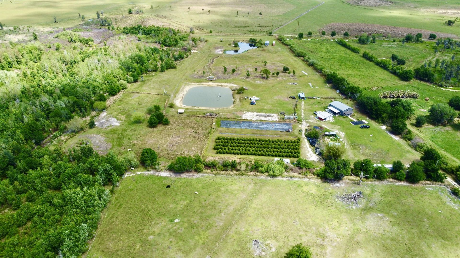 8700 W Josephine Road, Sebring, FL 33875 Photo