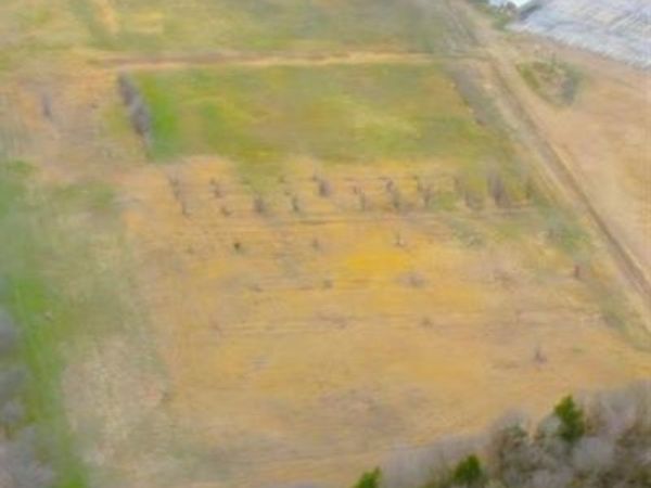 8612 S Walker Avenue, Oklahoma City, OK 73139