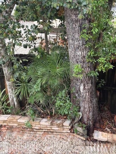 322 Mahogany Drive, Key Largo, FL 33037 Photo