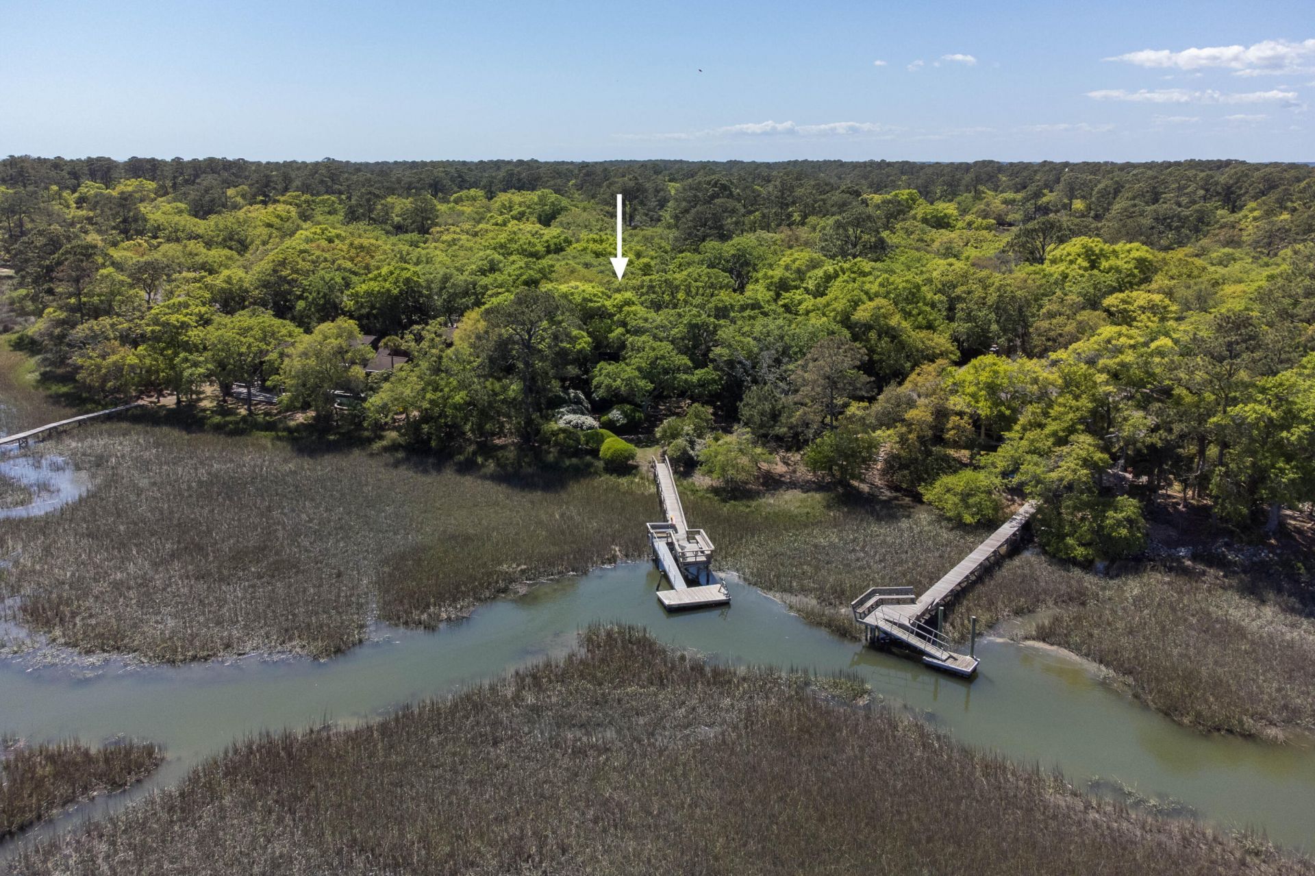 2290 Marsh Hen Drive Photo 4