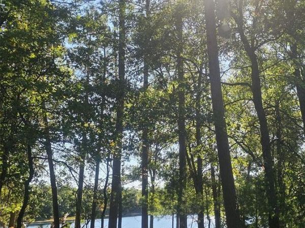 xxx County Road H Road, Danbury, WI 54830