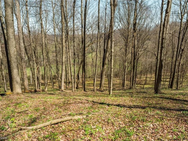 31370 Cadiz Dennison Road, Uhrichsville, OH 44683 Photo 41