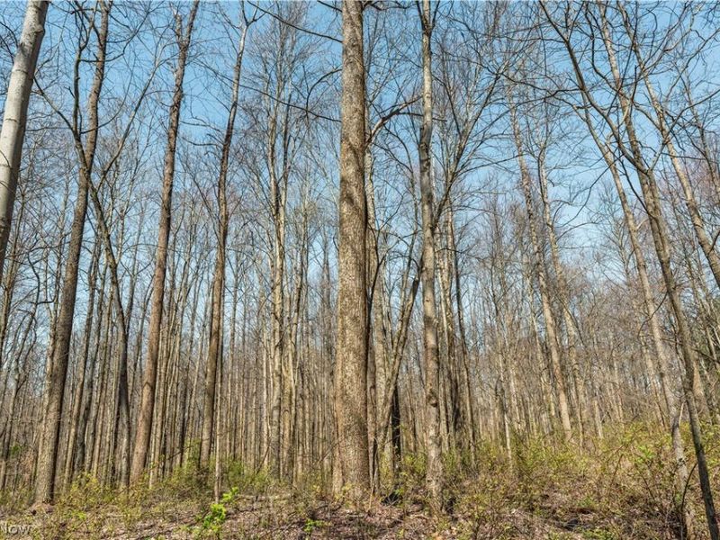 31370 Cadiz Dennison Road, Uhrichsville, OH 44683 Photo 42