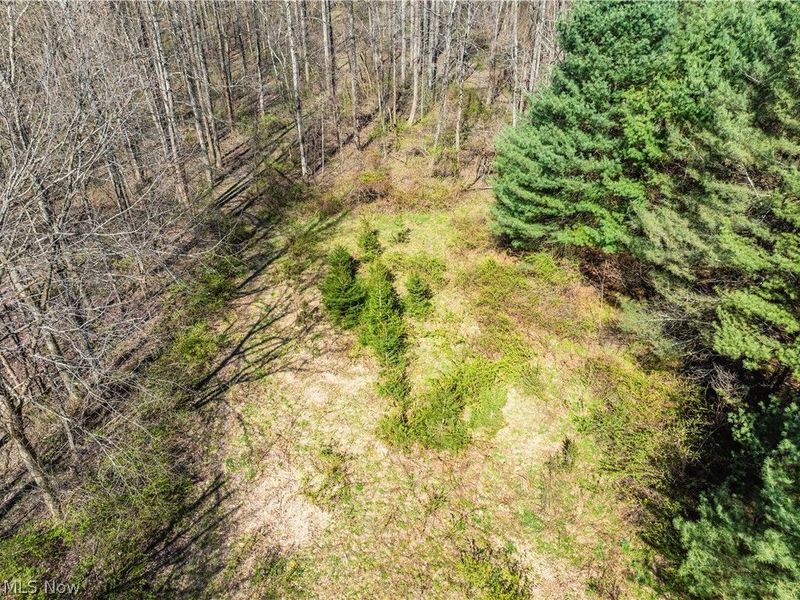 31370 Cadiz Dennison Road, Uhrichsville, OH 44683 Photo 47