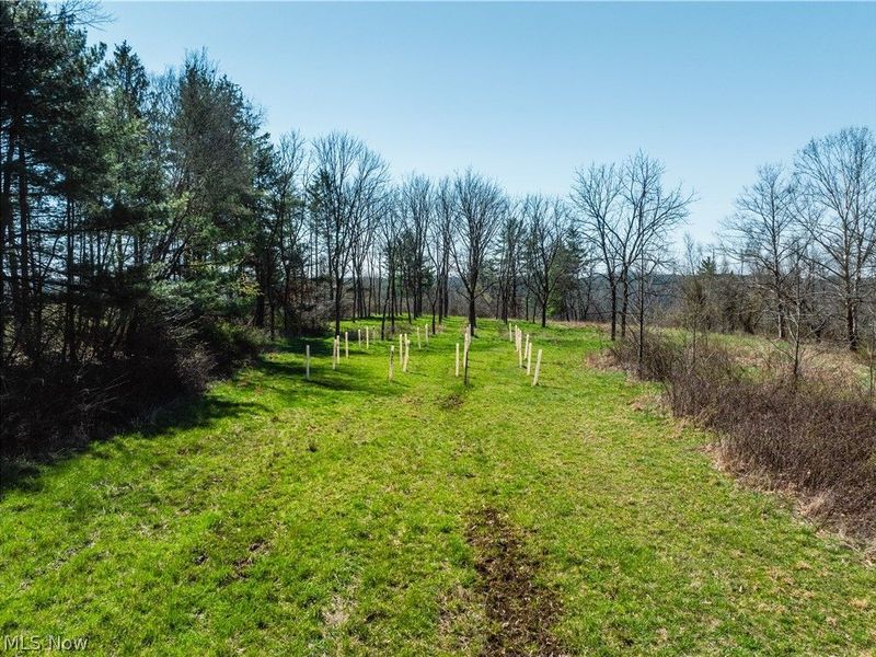 31370 Cadiz Dennison Road, Uhrichsville, OH 44683 Photo 6