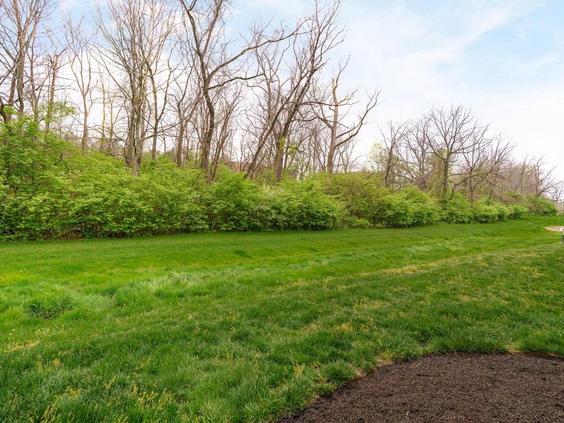 413 Westgreen Lane, Westerville, OH 43082 Photo 36