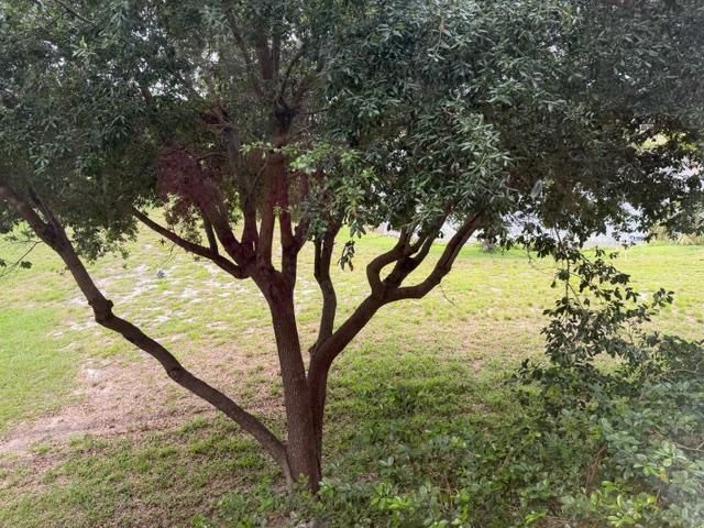 357 N Rock Island Road, Margate, FL 33063 Photo