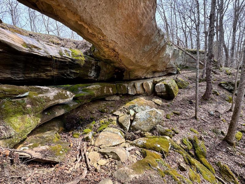 0 Remely Road, Unit (Millstone, Cutler, OH 45724 Photo 10