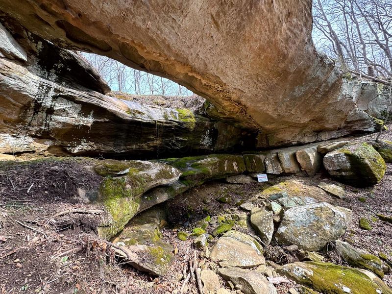 0 Remely Road, Unit (Millstone, Cutler, OH 45724 Photo 11