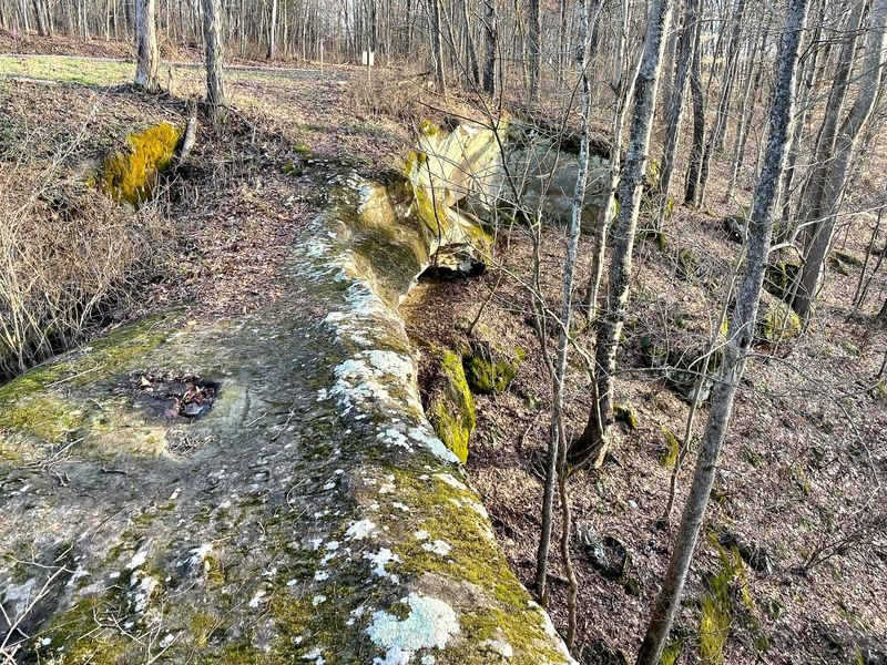 0 Remely Road, Unit (Millstone, Cutler, OH 45724 Photo 14